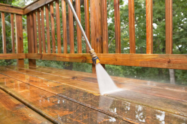 Best Building Exterior Washing  in Owens Cross Roads, AL